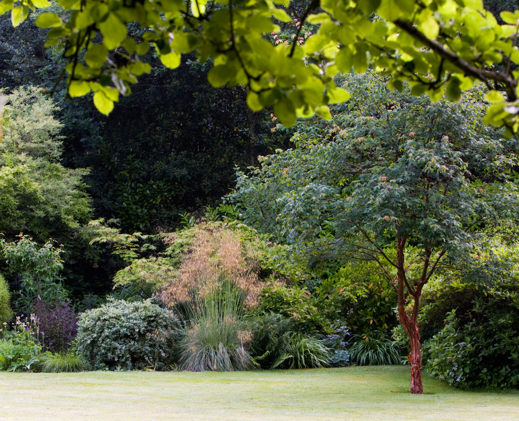 Jennifer Gayler Garden Design, Sussex