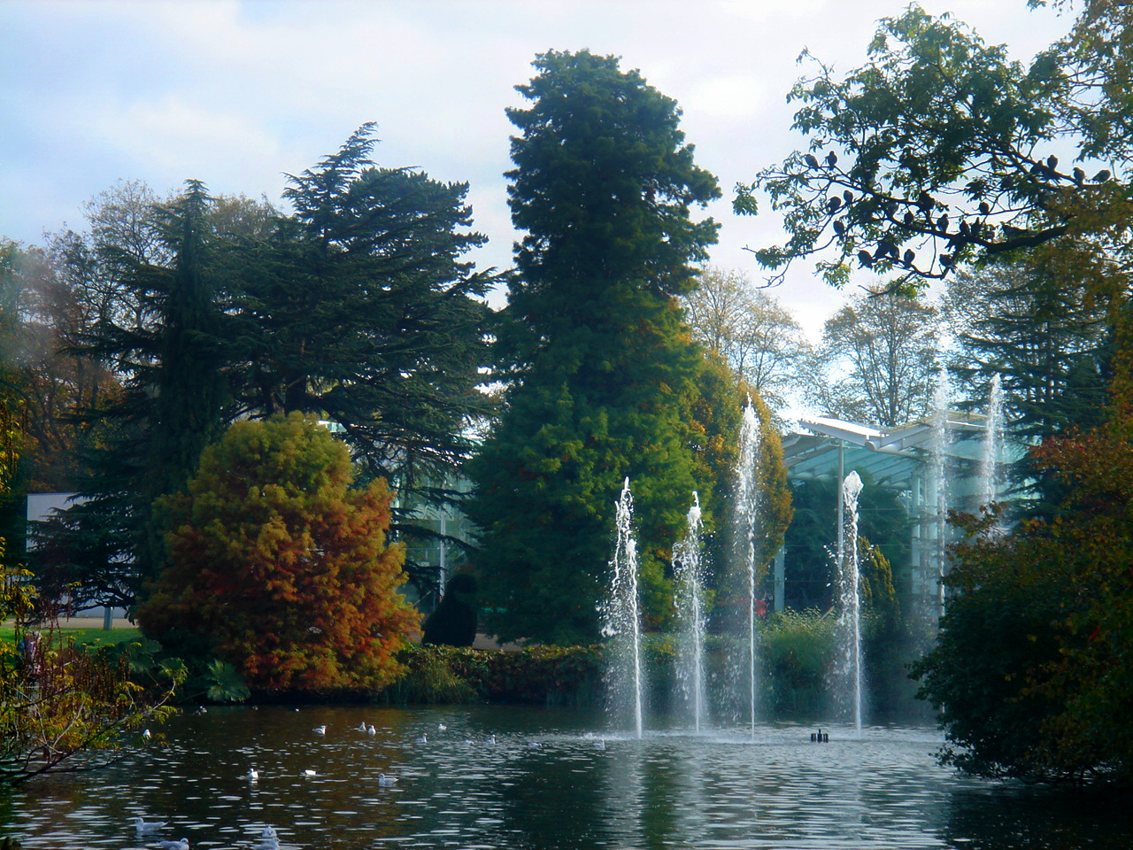 Jephson Gardens Michelle Hillyard