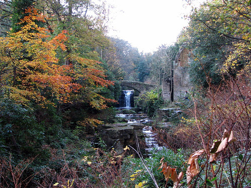 Jesmond Dene