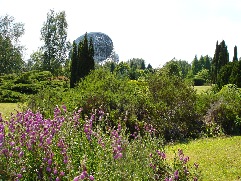 Jodrell Bank Arboretum & Visitor Centre Starbuck Powersurge