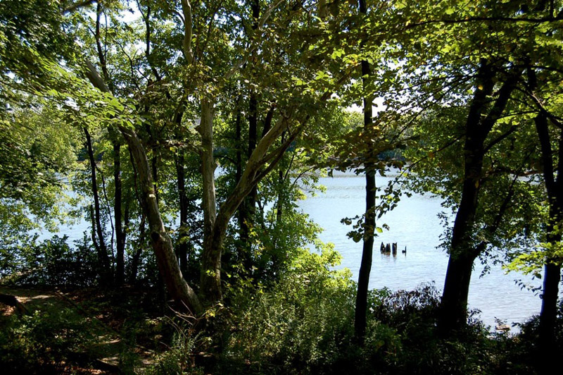 John Bartram's Gardens