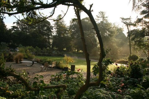 June Blake's Garden, Ireland