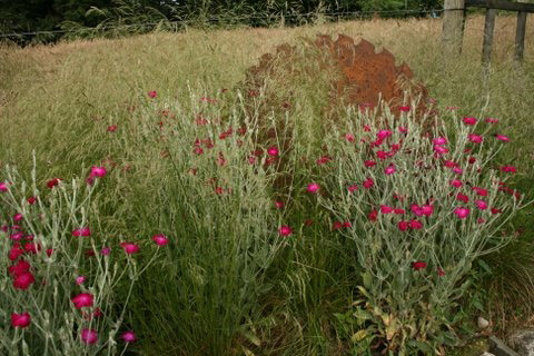 June Blake's Garden