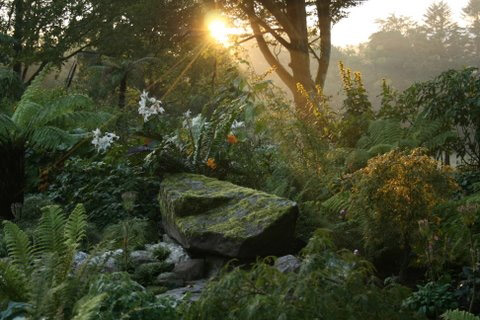 June Blake's Garden, Tinode