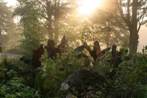 June Blake's Garden, County Wicklow