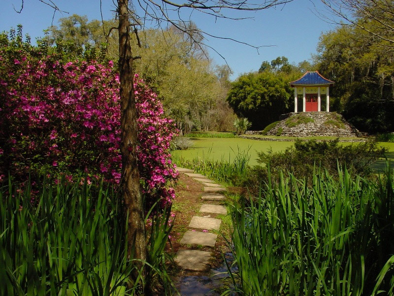 Jungle Gardens