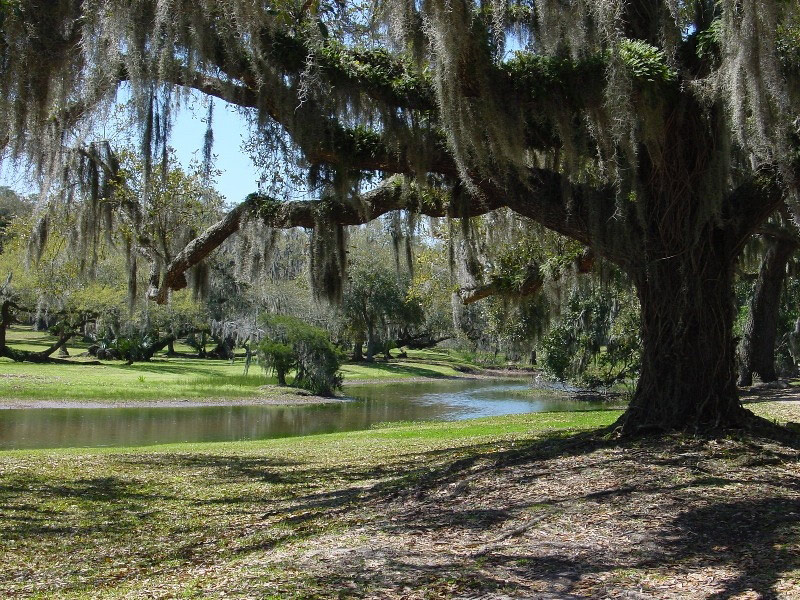 Jungle Gardens, Louisiana