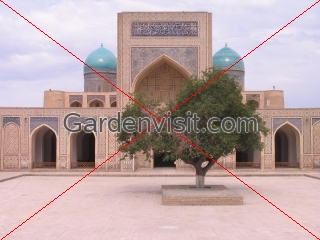Mosque, Kalon Bukhara Uzbekistan