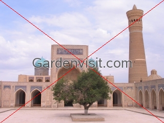 Courtyard and minaret, Kalon Bukhara Uzbekistan