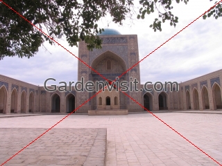 Madrassah, Kalon Bukhara Uzbekistan