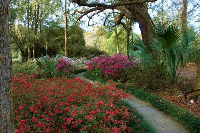 Kanapaha Botanical Gardens