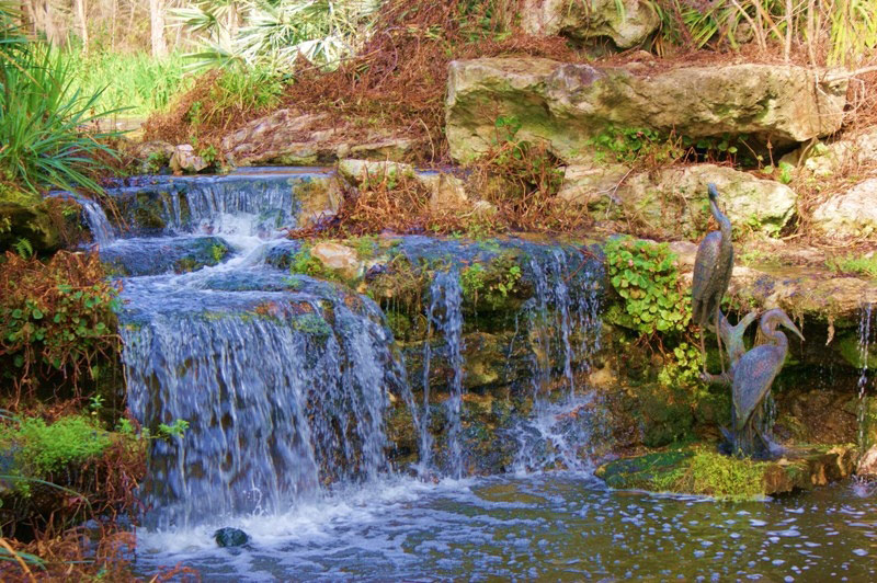 Waterfall, Kanapaha Botanical Gardens