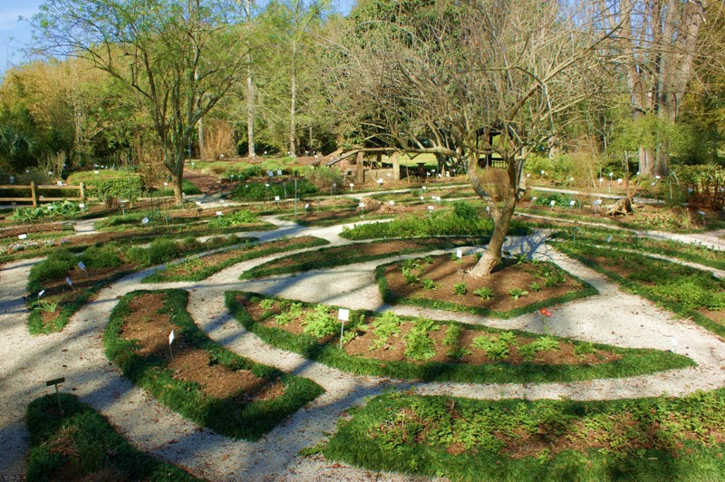 Herb Garden, Kanapaha Botanical Gardens