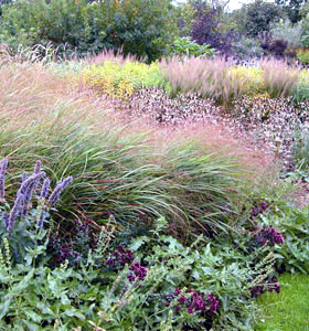 Karen Platt Garden Tours, Wisley