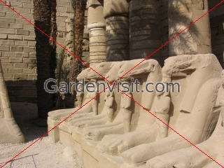 Sphinx carvings at Karnak Temple