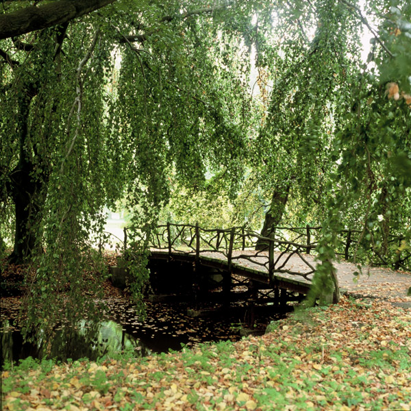Bridge, Kasteel de Haar
