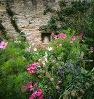 Kelliecastlegarden nts
