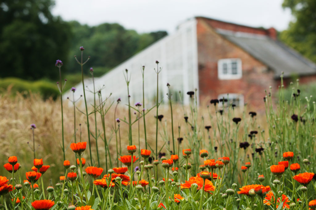 Kelmarsh Hall Gardens, Northamptonshire