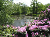 Garden Design in Kent