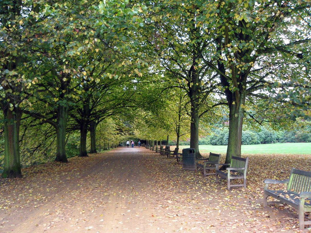 Kenwood  Park littlestar19