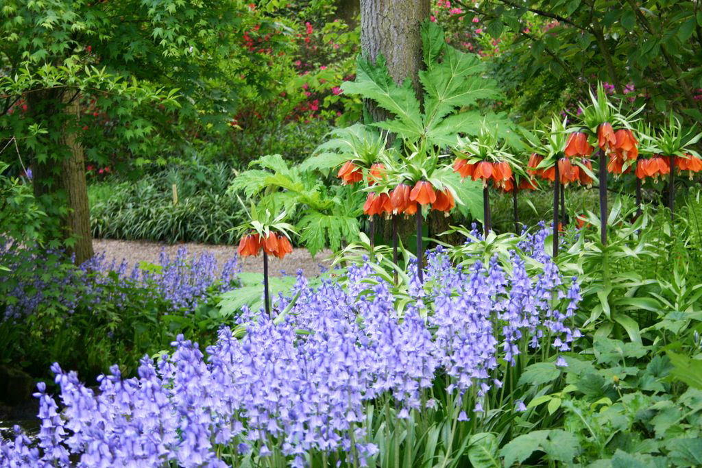 Keukenhof Gardenvisit.com