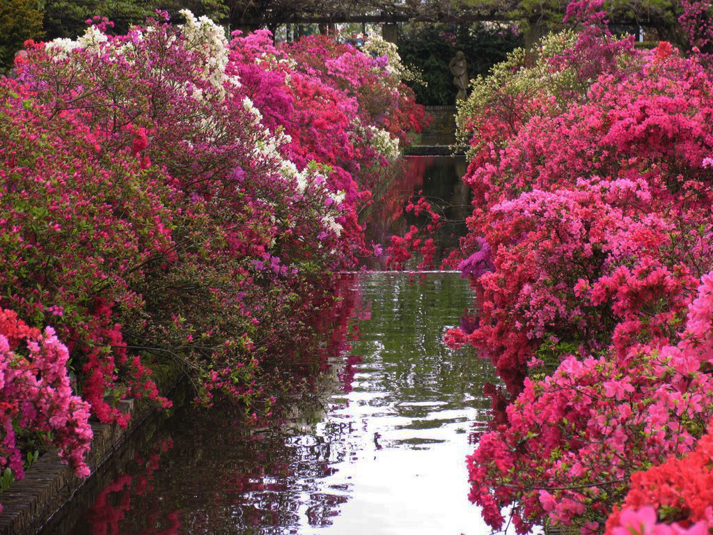 Keukenhof Gardenvisit.com