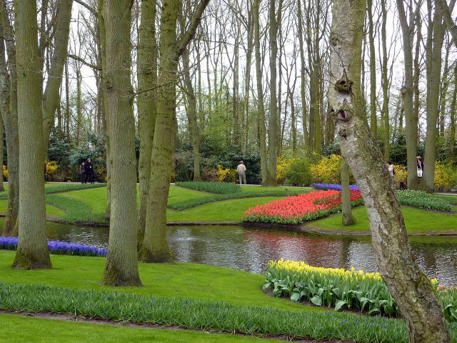 Bulb Garden, Keukenhof