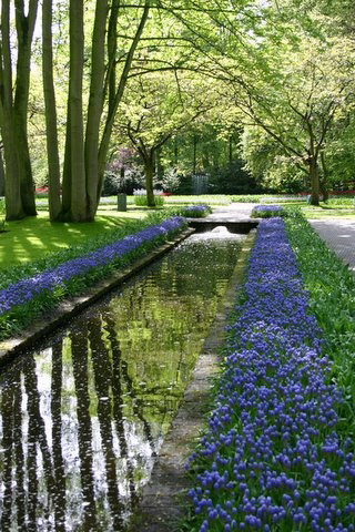 for map south holland,