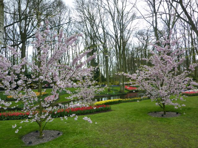 Keukenhof, The Netherlands