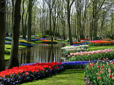 Keukenhof, Holland