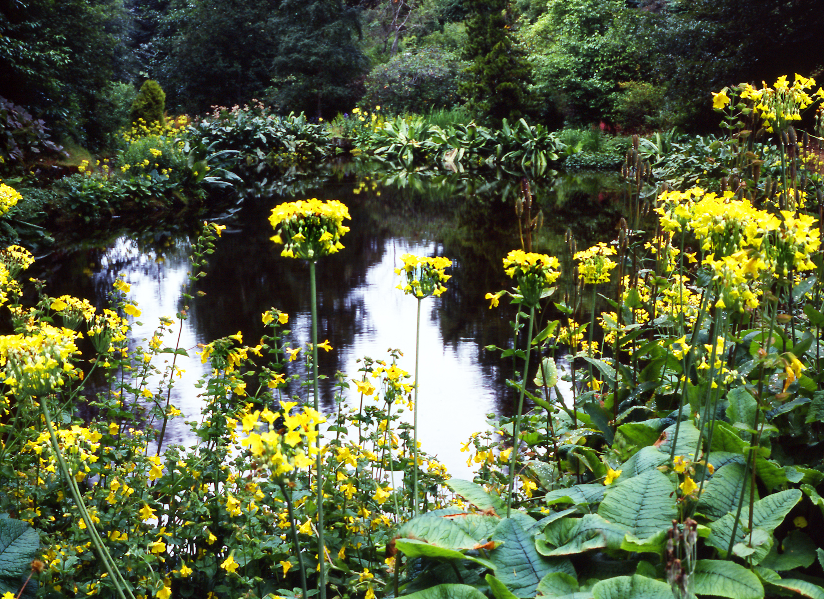 Kildrummy Castle Gardens Gardenvisit.com