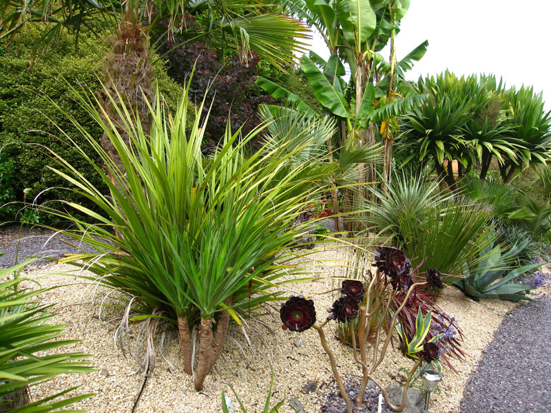 Mediterranean Garden, Kilravock Gardens