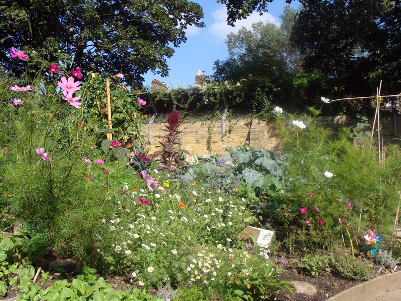 King Henry's Walk Garden, England