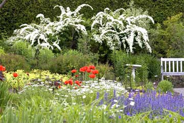 Kingsbrae garden2