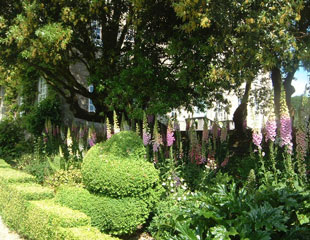 Garden at Kingston House, Devon
