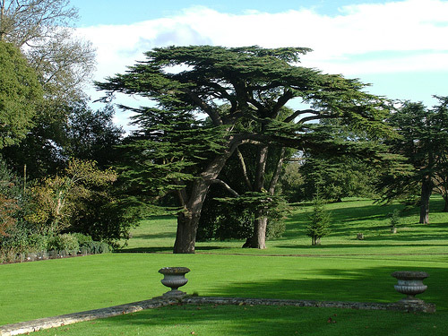 Kingston Lacy, Dorset