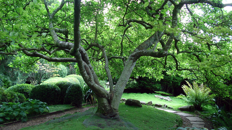 Kingston Maurward Gardens, Dorset