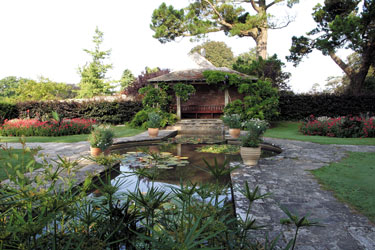 Kingstonmaurwardgardens