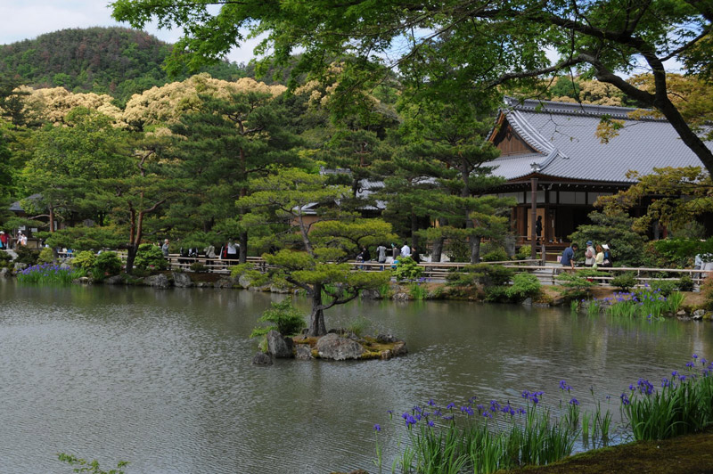 Kinkaku-ji, May 2008