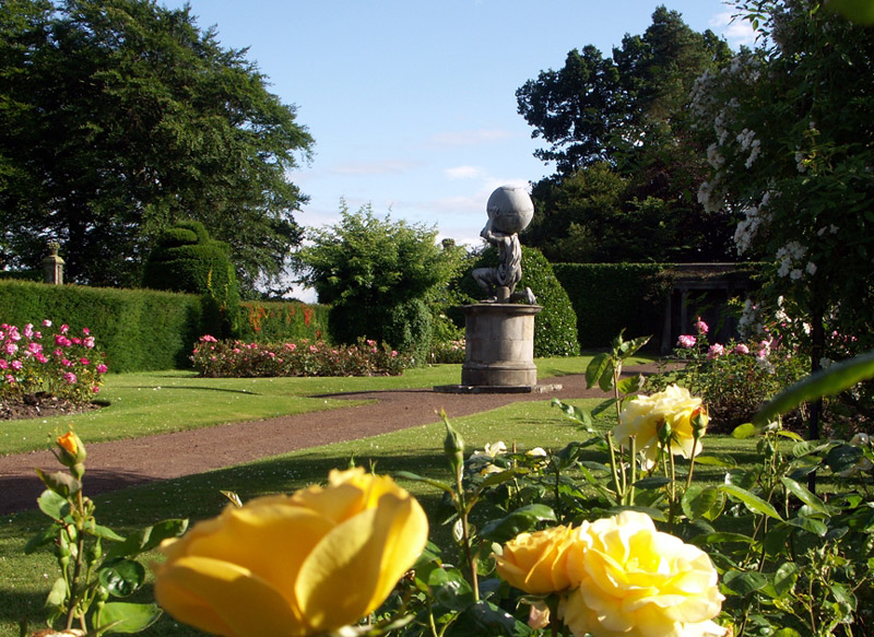 Kinross House Garden