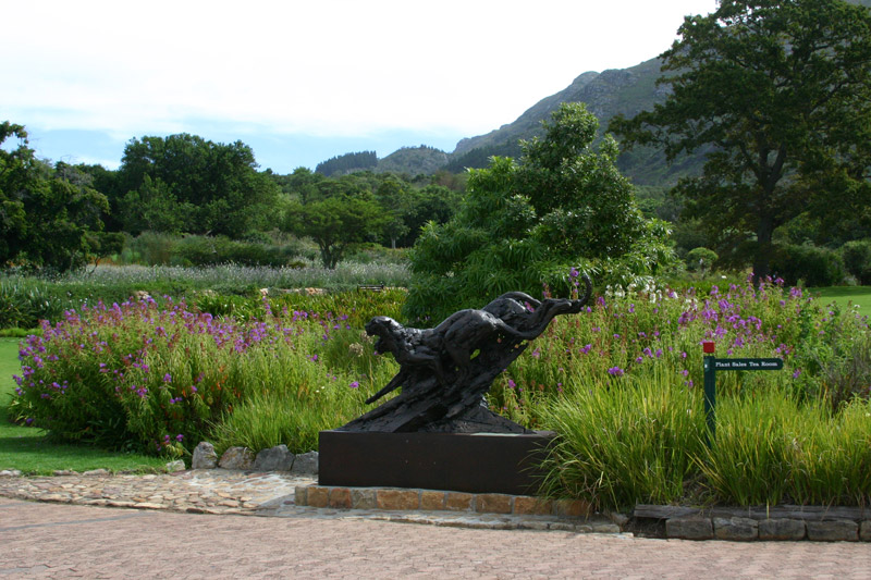 Kirstenbosch Botanic Garden, Cape Town