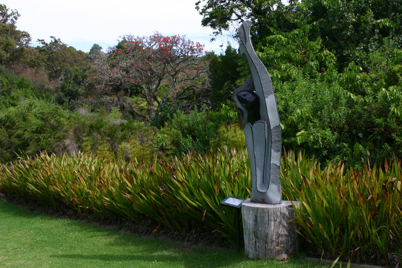 Kirstenbosch Botanic Garden, Cape Town