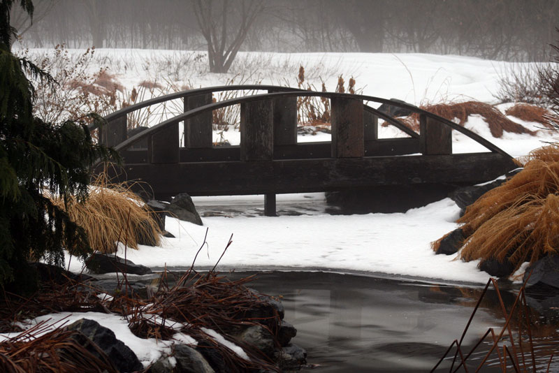 Klehm Arboretum, Illinois