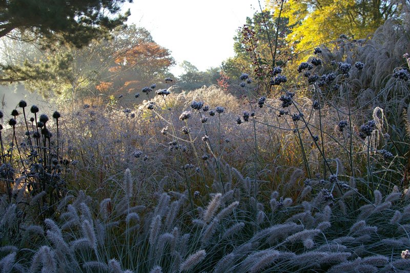 Knoll gardens decennium