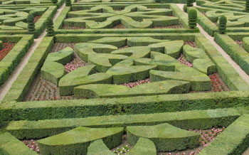 Knot planting design