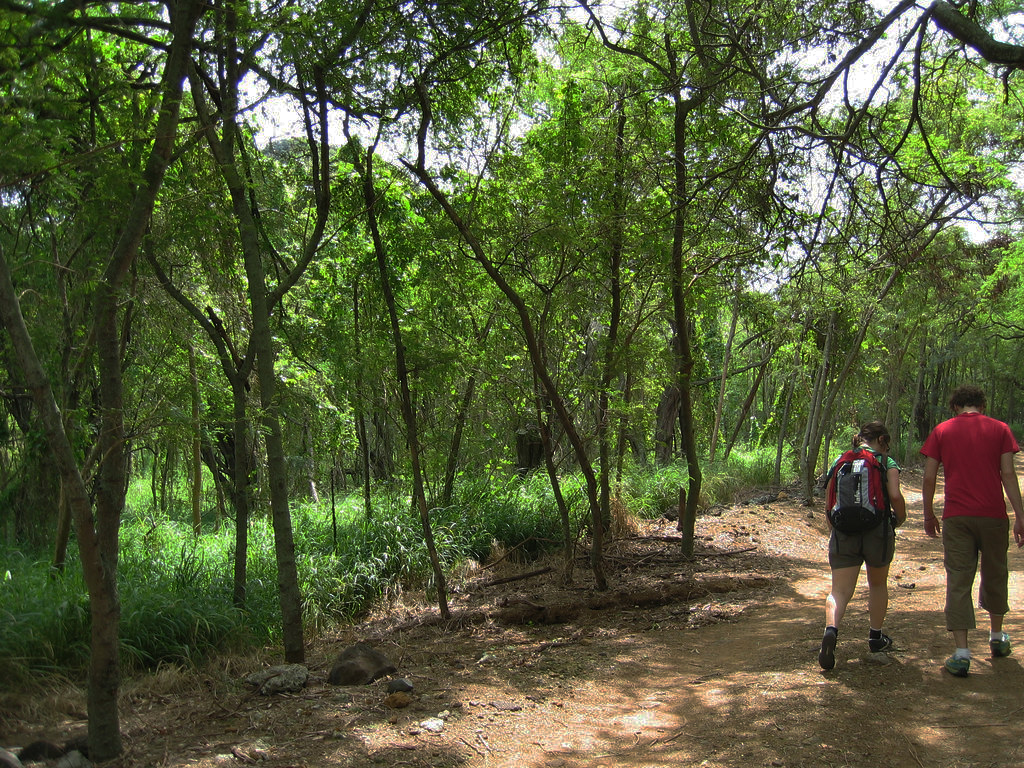 Koko Crater Botanical Garden Michael Turk