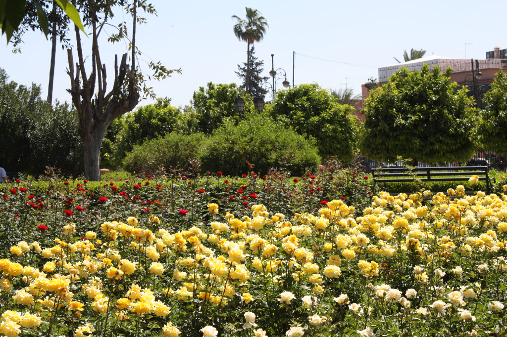 Koutoubia Gardens, Morocco