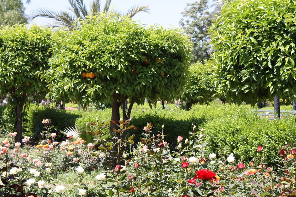 Koutoubia Gardens, Marrakech
