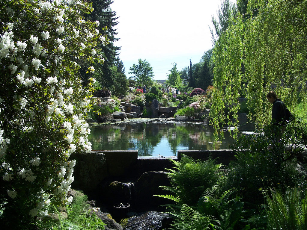 Kubota Garden, Seattle