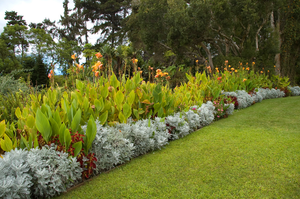 Kula Garden Steve Miller